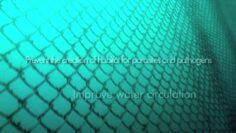 [ID: Ut3FFQojEzo] Youtube Automatic