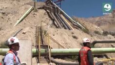 [ID: VnMIsgTARAE] Youtube Automatic