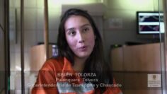 [ID: wMzxUKVUTPM] Youtube Automatic