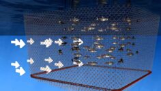 [ID: X0aUcxme0FM] Youtube Automatic