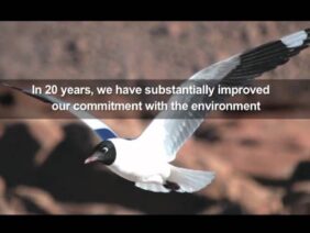 [ID: -X6unV86n84] Youtube Automatic