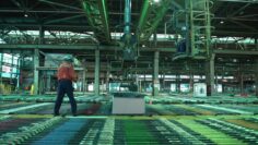 [ID: YbAx0cobZCI] Youtube Automatic