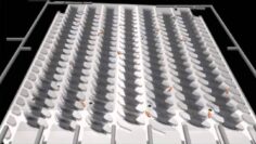 [ID: -YxgI7oQo0Y] Youtube Automatic