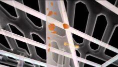 [ID: zHjzuQEMhgo] Youtube Automatic