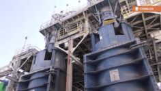 [ID: ZM3JrP-uz-Y] Youtube Automatic