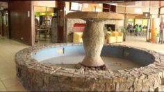 [ID: zOLh6aXZYh4] Youtube Automatic