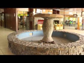 [ID: zOLh6aXZYh4] Youtube Automatic