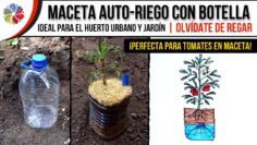 Privado: [ID: 8fap-IDKxbw] Youtube Automatic