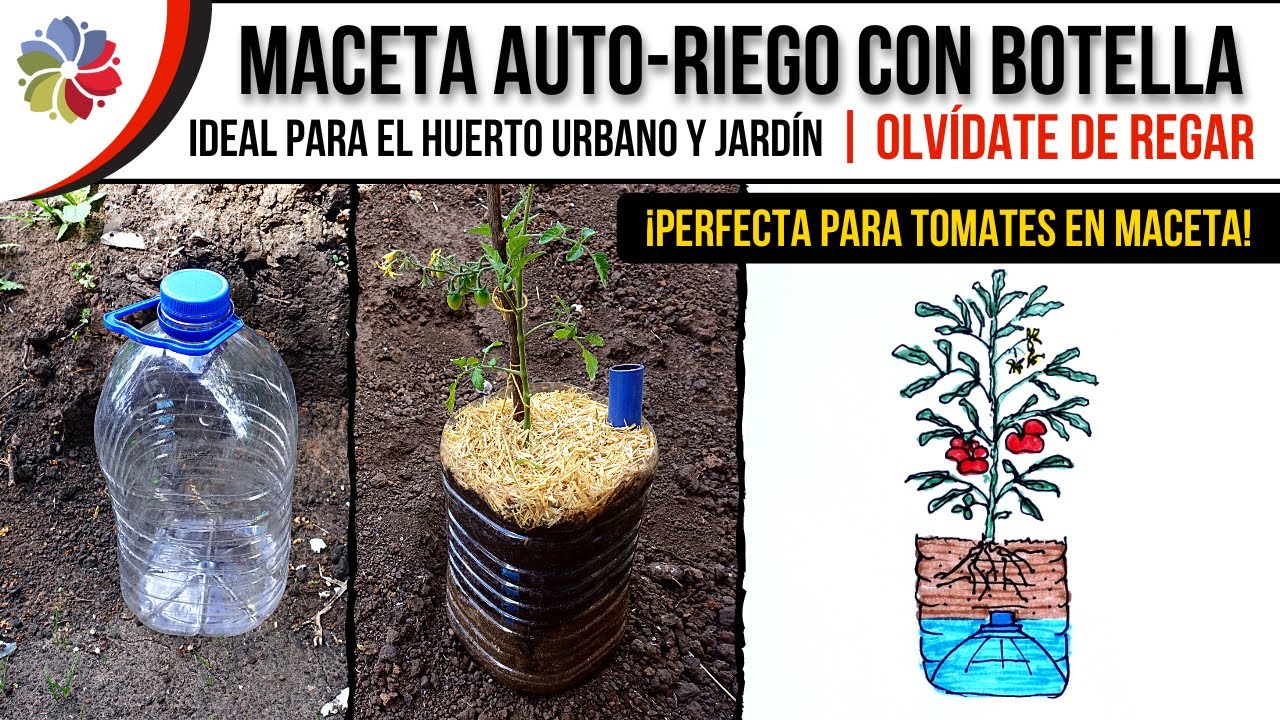 Precargar imagen