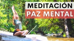 Privado: [ID: E6eVc1bYxkU] Youtube Automatic