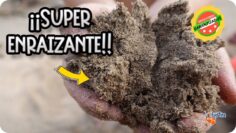 Privado: [ID: fV3CusQ5dWY] Youtube Automatic