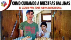 Privado: [ID: H4o-rrXjumI] Youtube Automatic