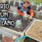 Privado: [ID: JCgp5hYsn4g] Youtube Automatic