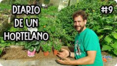 Privado: [ID: Qt34VtCjrtE] Youtube Automatic