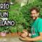 Privado: [ID: Qt34VtCjrtE] Youtube Automatic