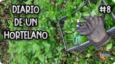 Privado: [ID: RKlnXjPgSyE] Youtube Automatic