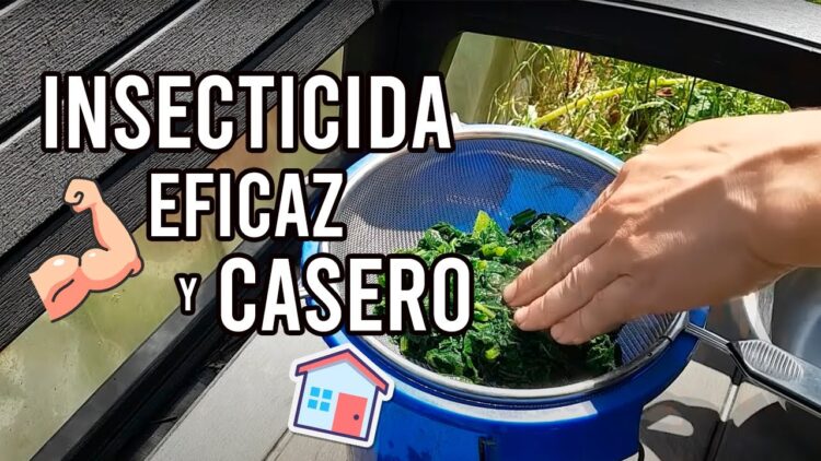 Privado: [ID: TQMMmdn-kKQ] Youtube Automatic