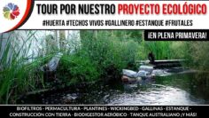 Privado: [ID: vOe8US_lZZ8] Youtube Automatic