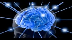 Privado: [ID: w9FfIeBLc_Y] Youtube Automatic