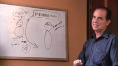 Privado: [ID: vHkGzorpwg4] Youtube Automatic