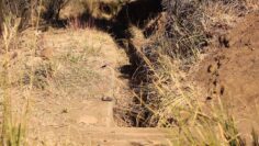 [ID: 7sis7OVRcP4] Youtube Automatic