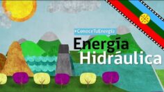 [ID: IPzlSdmoJzg] Youtube Automatic