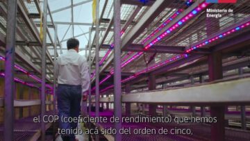 [ID: l77lRdw87Zs] Youtube Automatic