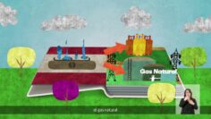 [ID: phz_DX-AmEY] Youtube Automatic