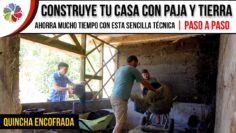 Privado: [ID: 5-8BoV2OEoU] Youtube Automatic
