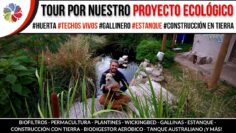 Privado: [ID: ecby7J0Yt1s] Youtube Automatic