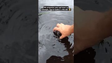 Privado: [ID: JzPX-lOvmPI] Youtube Automatic