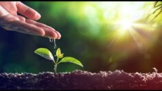 Privado: [ID: KHPHNtoVxaI] Youtube Automatic