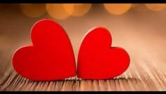 Privado: [ID: n8xXSoZGCJc] Youtube Automatic