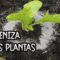 Privado: [ID: Rihk-4P1WJs] Youtube Automatic
