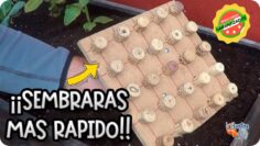 Privado: [ID: th2hIlcaHIk] Youtube Automatic