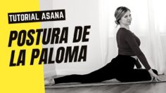 Privado: [ID: vaaFeHtCZf4] Youtube Automatic