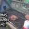 Privado: [ID: Vk83u1i9oXY] Youtube Automatic