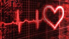 Privado: [ID: vZhc0gNELr0] Youtube Automatic