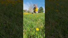 Privado: [ID: WBtiKFmuo7Q] Youtube Automatic