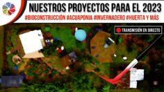Privado: [ID: wu6_mGVJaUY] Youtube Automatic