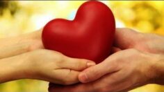 Privado: [ID: z1TdqASA4G8] Youtube Automatic