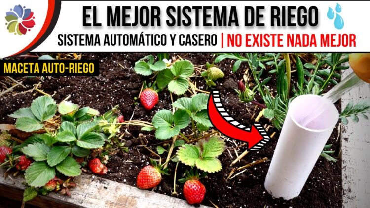 Privado: [ID: zttzLQjLG_s] Youtube Automatic