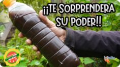 Privado: [ID: Zi6TWkXqHjk] Youtube Automatic