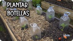 Privado ID gaveeS3jgr8 Youtube Automatic