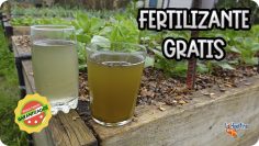 Privado ID QcVkAU2UrvA Youtube Automatic