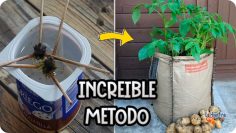 Privado ID 0fsyb8CWZzs Youtube Automatic