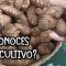 Privado ID 11h2g8vskhI Youtube Automatic