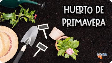 Privado ID MObJiczvx4U Youtube Automatic