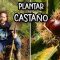 Privado: [ID: qaNOh32P_TQ] Youtube Automatic