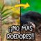 Privado: [ID: skj-kwr-_20] Youtube Automatic